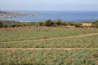  terrain corbara 20256