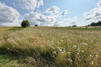  terrain corgnac-sur-l-isle 24800