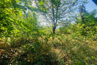  terrain corneilla-de-conflent 66820