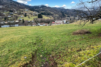  terrain cornimt 88310