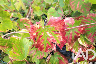  terrain corny-sur-moselle 57680