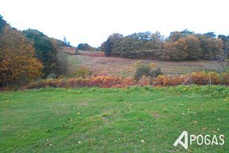  terrain correze 19800
