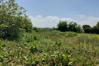  terrain cosqueville 50330