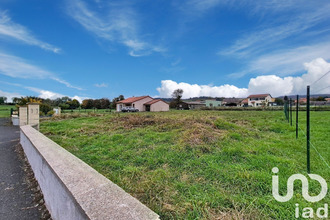  terrain costaros 43490