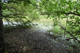  terrain coullons 45720