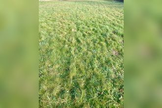  terrain coulounieix-chamiers 24660