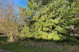  terrain coutarnoux 89440