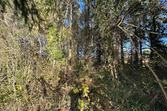  terrain coutarnoux 89440