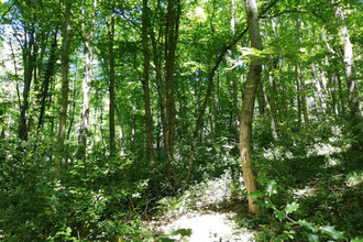  terrain dampierre-en-yvelines 78720