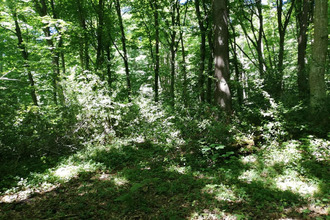  terrain dampierre-en-yvelines 78720