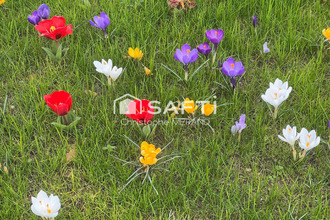  terrain dange-st-romain 86220