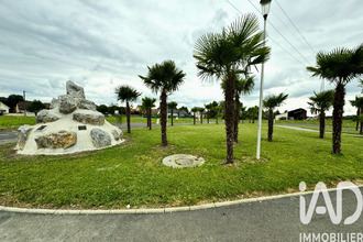  terrain denguin 64230