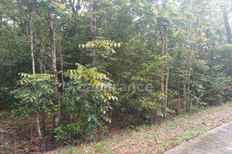  terrain deshaies 97126