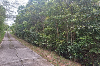  terrain deshaies 97126