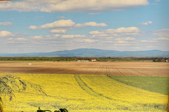  terrain dietwiller 68440