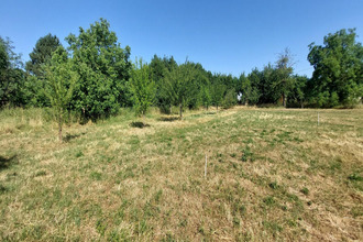  terrain dimbsthal 67440