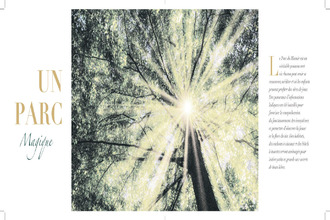  terrain dinard 35800