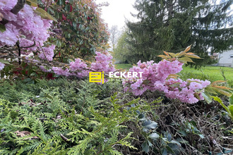  terrain dingsheim 67370