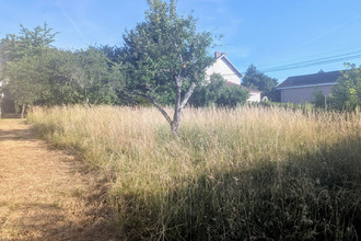  terrain dole 39100