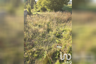  terrain dormans 51700