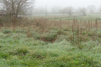  terrain douzillac 24190