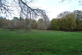  terrain douzillac 24190