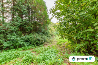  terrain drubec 14130