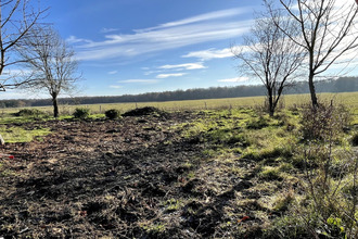  terrain druye 37190