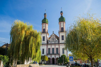  terrain ebersmunster 67600