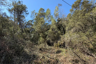  terrain entrecasteaux 83570