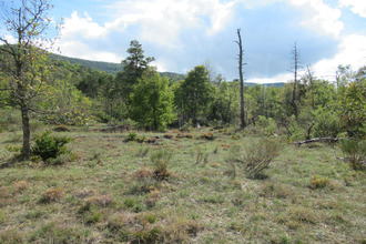  terrain entrevaux 04320