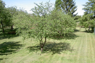  terrain esmans 77940