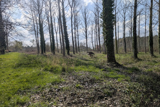  terrain etauliers 33820