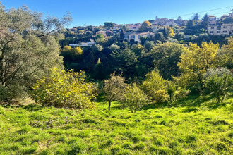  terrain falicon 06950