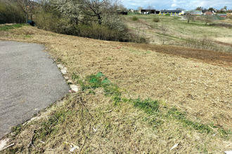  terrain ferrette 68480