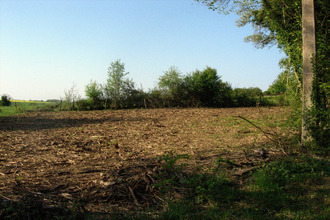  terrain foissy-les-vezelay 89450