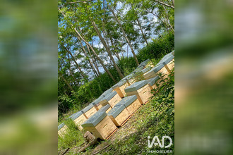  terrain fontenay-sur-loing 45210