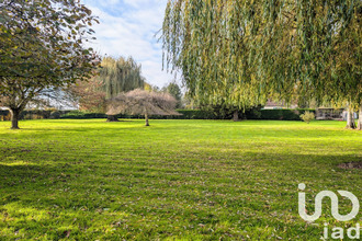  terrain foreste 02590