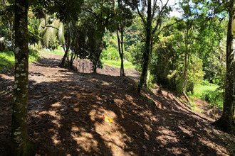  terrain fort-de-france 97200