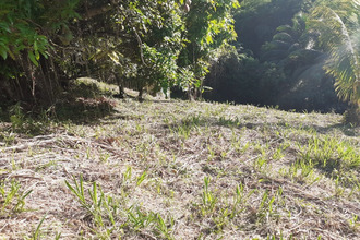  terrain fort-de-france 97234