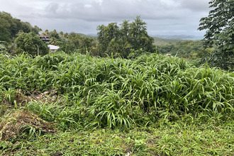  terrain francois 97240