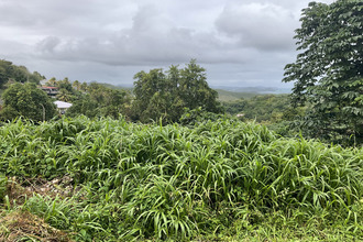  terrain francois 97240