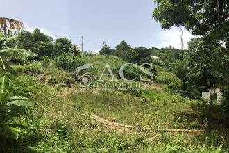  terrain francois 97240