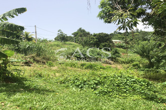  terrain francois 97240