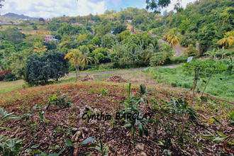  terrain francois 97240