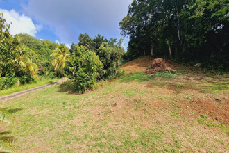  terrain francois 97240