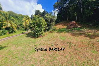  terrain francois 97240