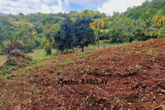  terrain francois 97240