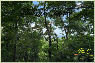  terrain francois 97240