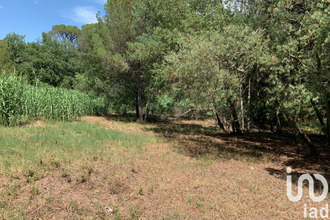  terrain frejus 83600